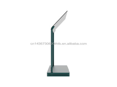 55 Inch Transparent Oled Art Display Touch Screen Dedicated To High-end Retail Exhibitions Oled Monitor